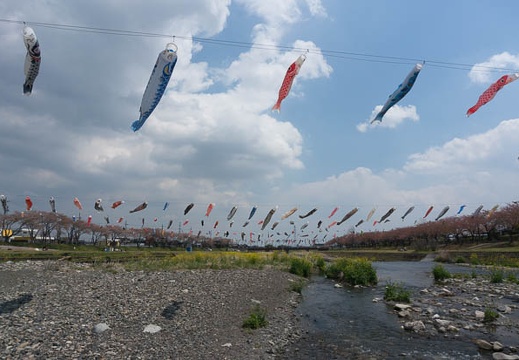 201304121141-DSC07986N.jpg