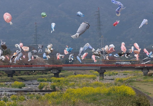 201304121159-DSC03848.jpg