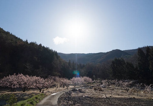 201304130812-DSC04029.jpg