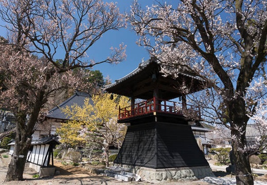 201304131041-DSC08261N.jpg