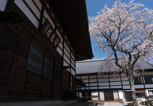 201304131046-DSC08278N.jpg