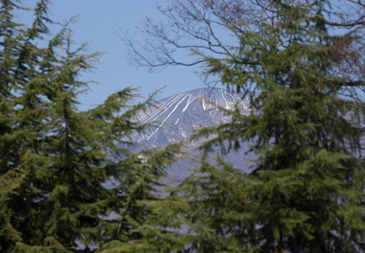 201304131325-DSC04183.jpg