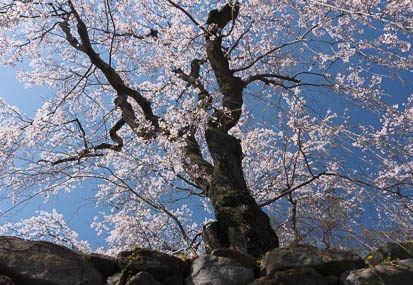201304131428-DSC08359N.jpg