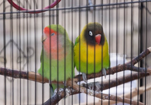 201304131436-DSC04281.jpg