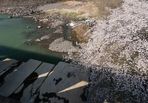 201304131540-DSC08393N.jpg