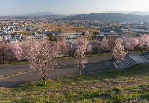 201304131721-DSC08425N.jpg