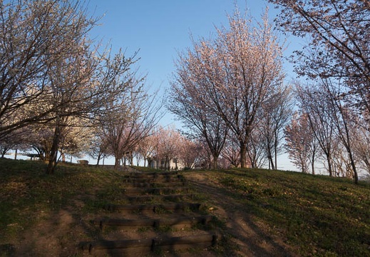 201304131734-DSC08447N.jpg