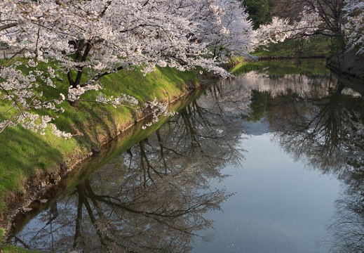 201304140700-DSC04383.jpg