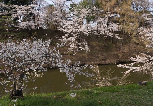 201304140716-DSC04405.jpg