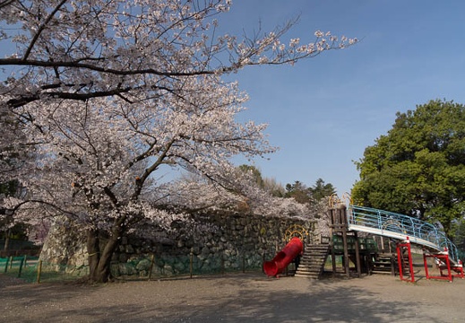 201304140726-DSC04410.jpg
