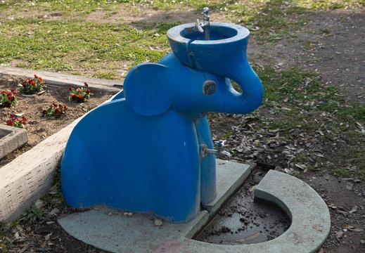 201304140733-DSC04421.jpg