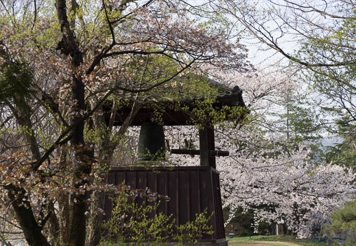 201304140744-DSC04428.jpg