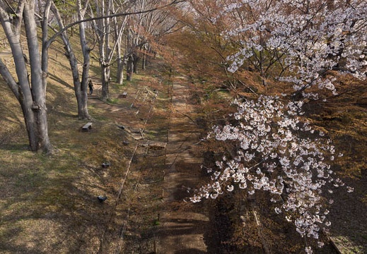 201304140748-DSC04435.jpg