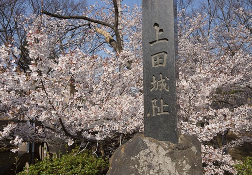 201304140750-DSC04439.jpg