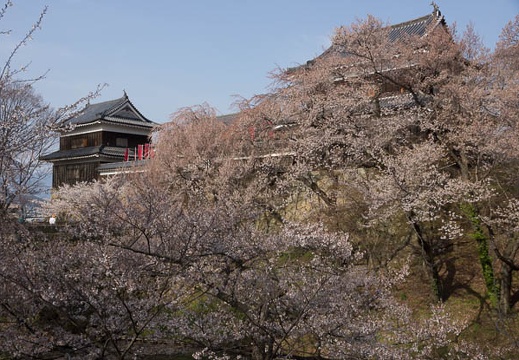 201304140757-DSC04448.jpg