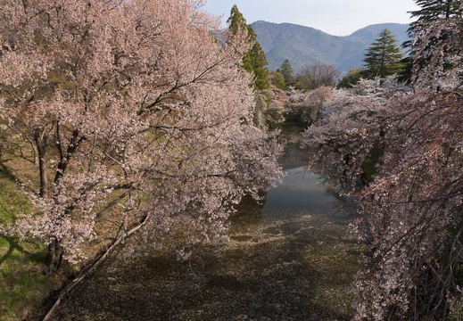 201304140801-DSC04458.jpg