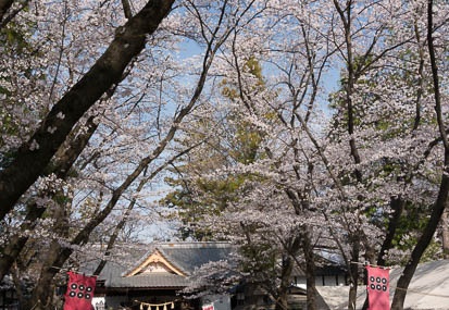 201304140812-DSC08500N.jpg