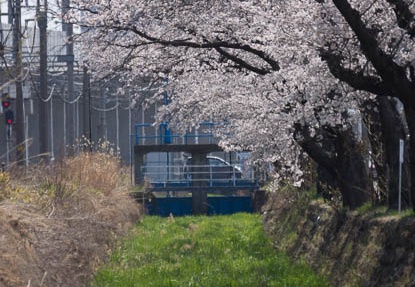 201304141018-DSC04555.jpg