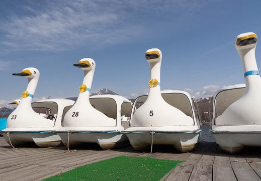 201304141520-DSC04728.jpg