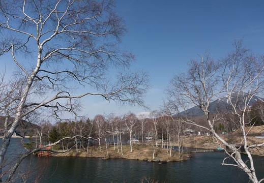 201304141542-DSC08583N.jpg