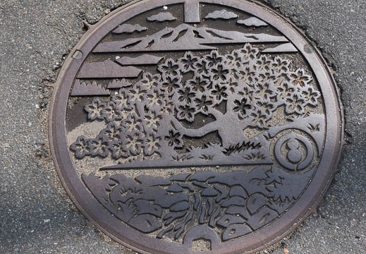 201304190839-DSC08613N.jpg