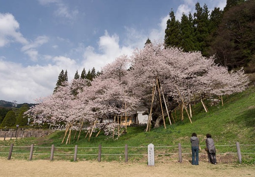 04.19 高山