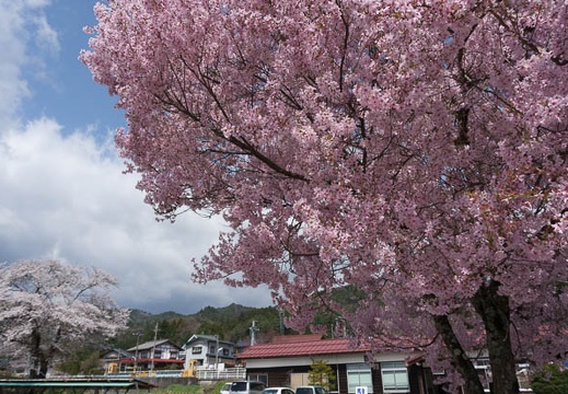 201304191004-DSC08686N.jpg