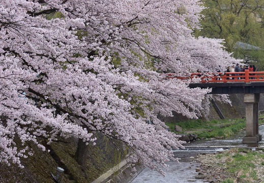 201304191051-DSC04996.jpg