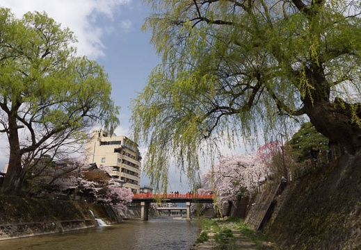 201304191110-DSC05042.jpg