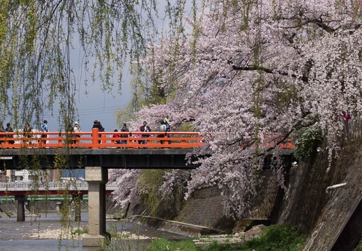 201304191116-DSC05057.jpg