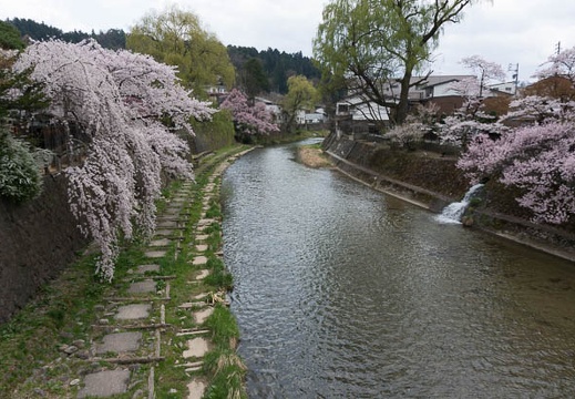 201304191122-DSC08733N.jpg