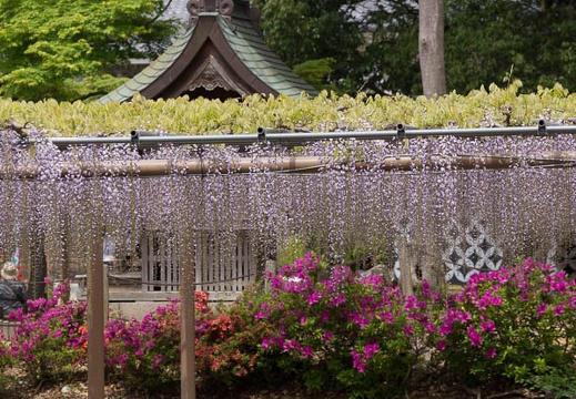 201304231045-DSC05344.jpg