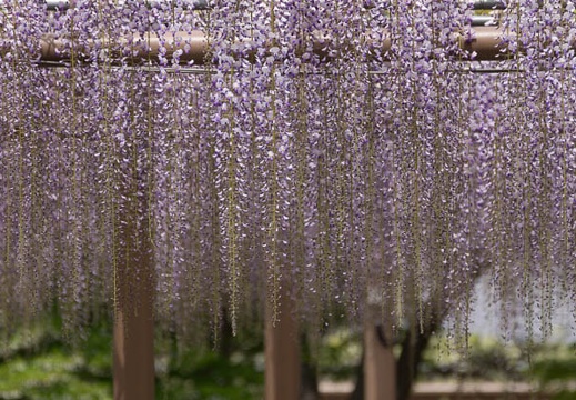 201304231046-DSC05349.jpg