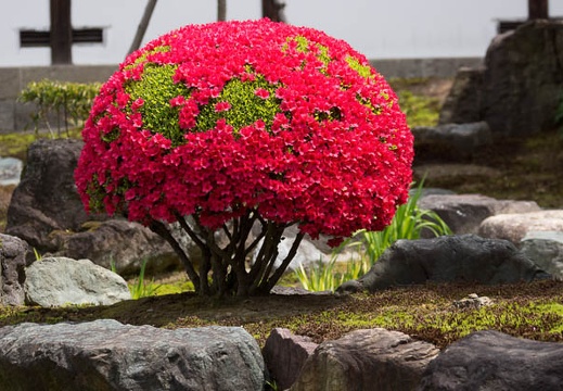 201304231056-DSC05362.jpg