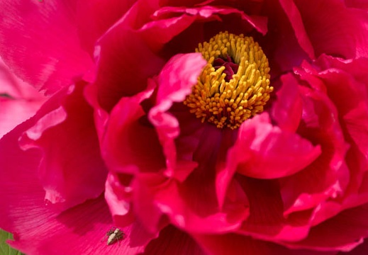 201304231212-DSC05459.jpg