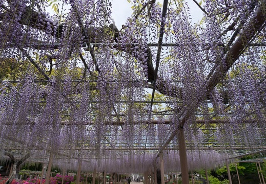 201304231243-DSC09025N.jpg