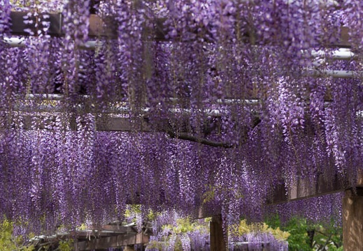201304231430-DSC05544.jpg
