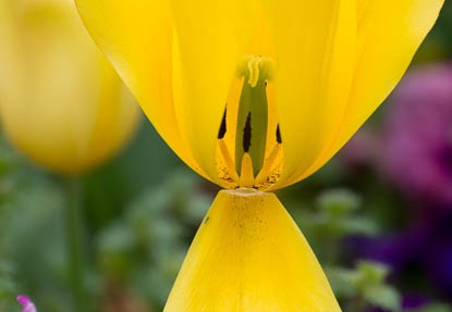 201304231501-DSC05618.jpg