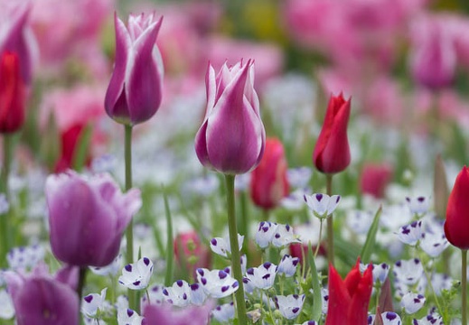 201304231520-DSC05670.jpg