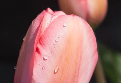 201304250928-DSC06018.jpg