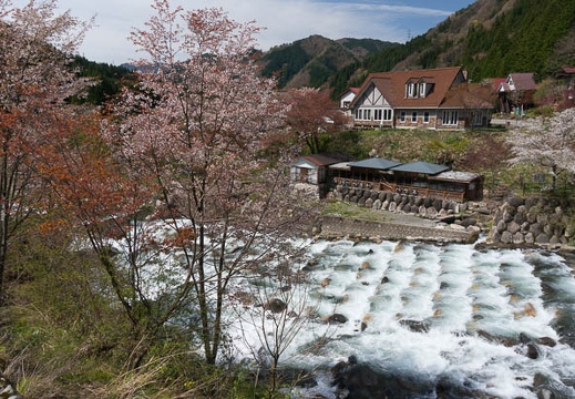 201304250948-DSC09330N.jpg