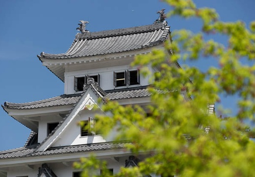 201304251058-DSC06074.jpg