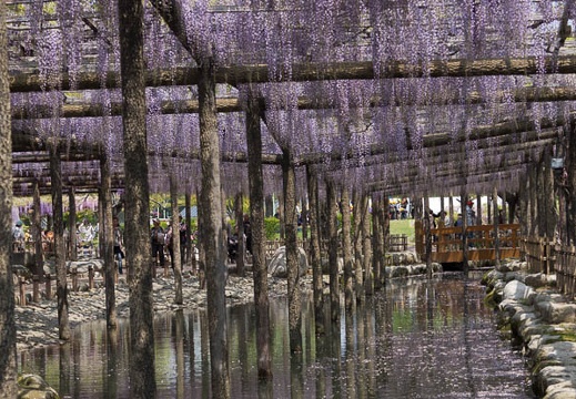 201304261114-DSC06428.jpg