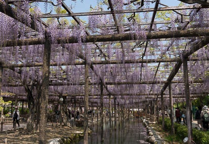 201304261114-DSC09616N.jpg