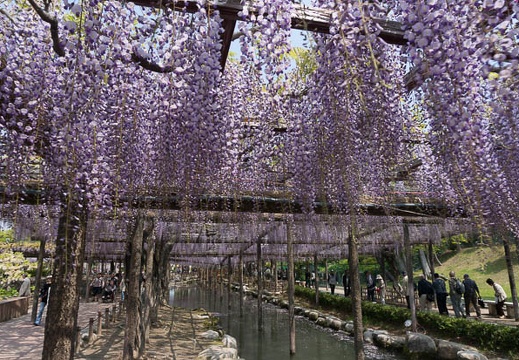 201304261116-DSC09621N.jpg