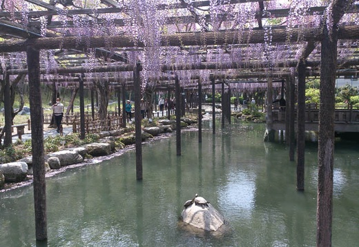 20130426111645-SO-04D.jpg