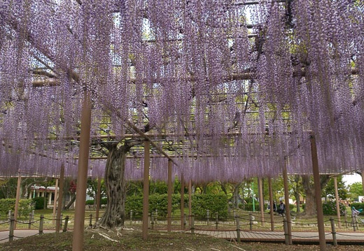 20130426112455-SO-04D.jpg
