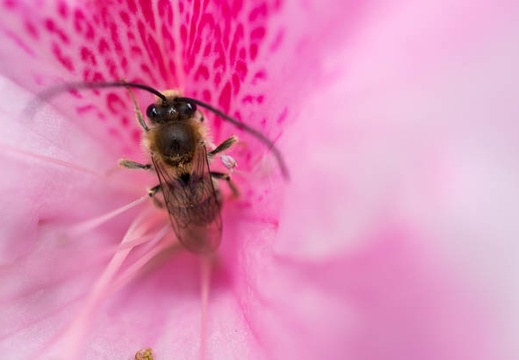 201304261217-DSC09682N.jpg