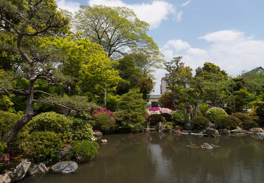 201304261239-DSC06553.jpg
