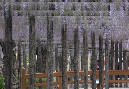201304261328-DSC06586.jpg